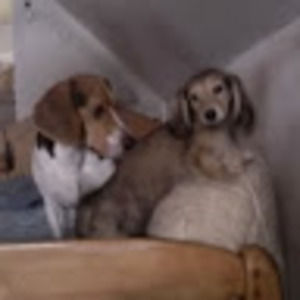 Meet your Posher, Hisae